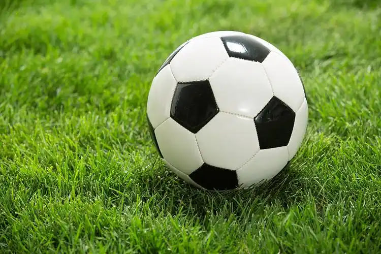 足彩竞彩即时比分网平台界面展示